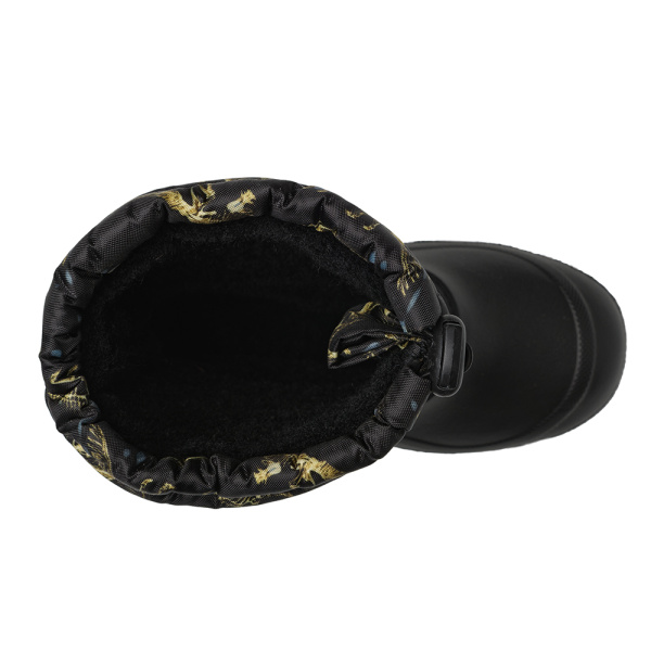 скелеты динозавров сверху